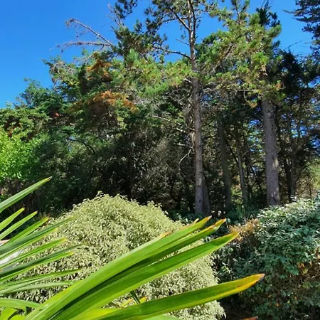Charmante Maison De Plain Pied Rénovée Et Climatisée En Lisière De Forêt *