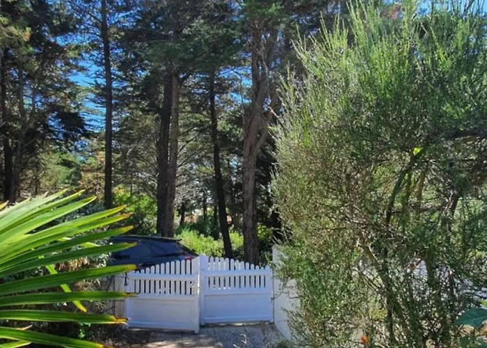 Charmante Maison De Plain Pied Renovee Et Climatisee En Lisiere De Foret 펜션