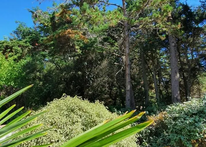 Charmante Maison De Plain Pied Renovee Et Climatisee En Lisiere De Foret *