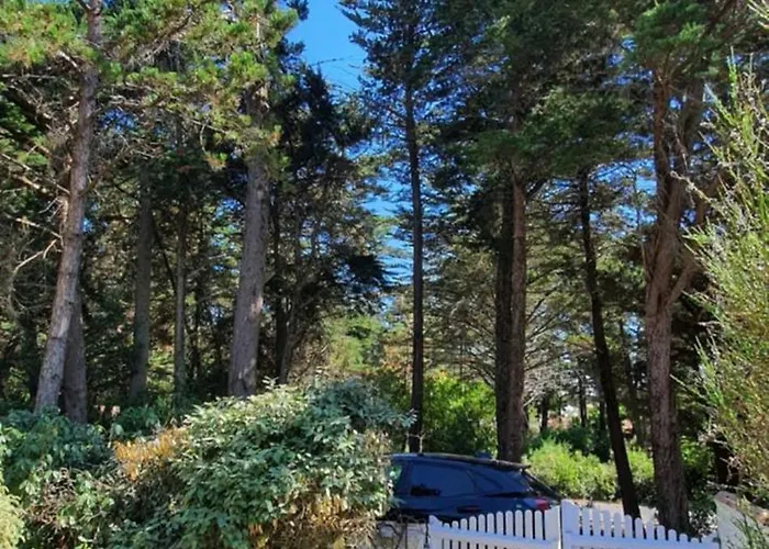 펜션 Charmante Maison De Plain Pied Renovee Et Climatisee En Lisiere De Foret *